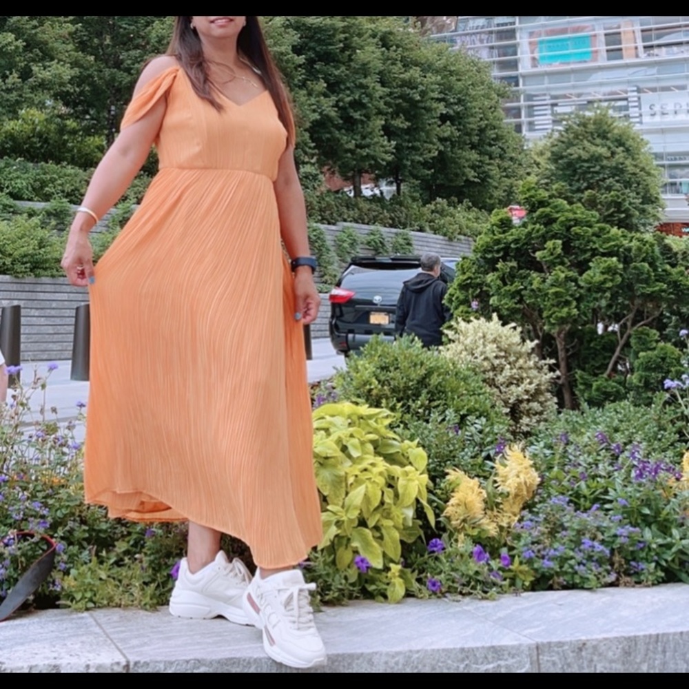 Express Dress - Picture 3 of 3